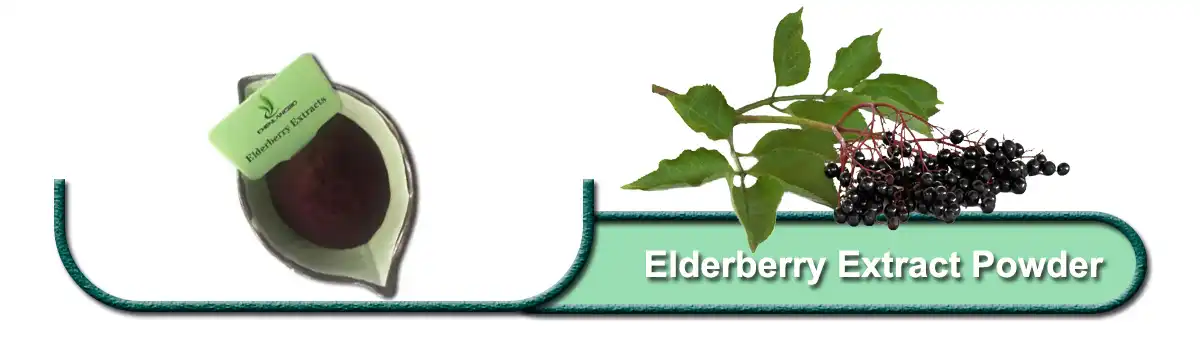Elderberry Extract.jpg Elderberry Extract.jpg